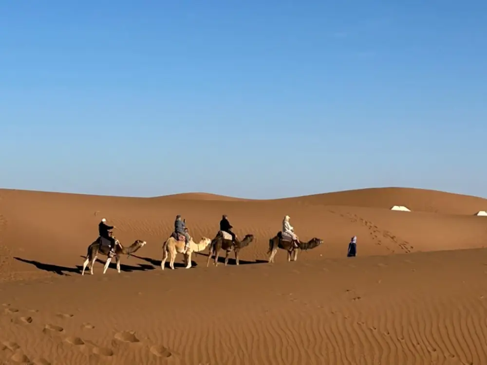 Voyageurs à dos de dromadaire dans les dunes orangées du désert