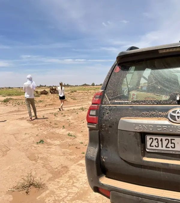 Voyageurs approchant des dromadaires derrière un Land Cruiser couvert de sable