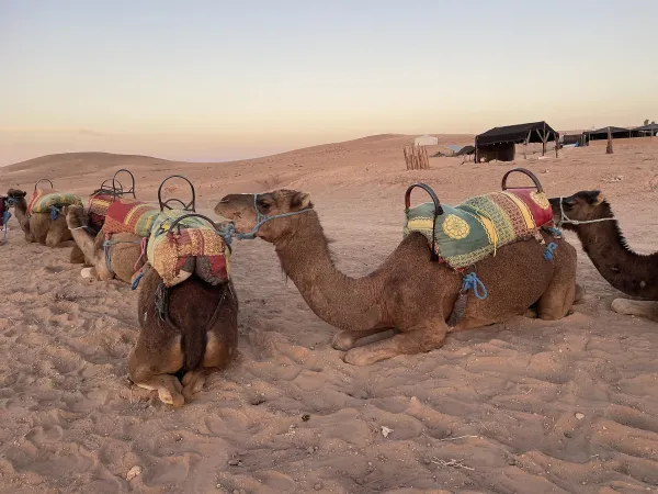 Désert d’Agafay au coucher du soleil depuis Marrakech